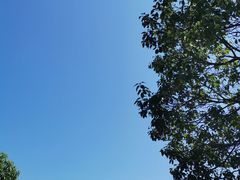 -南京市无想山景区