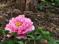 -江南大学(蠡湖校区)