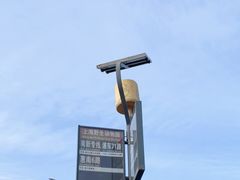 -上海野生动物园
