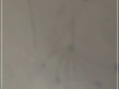 -多乐之日(五道口店)