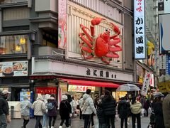 -蟹道乐(道顿堀本店)