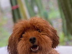 -MOJ coffee(瓯海泽雅水碓坑店)