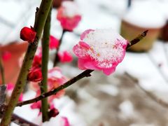 -陕西省西安植物园