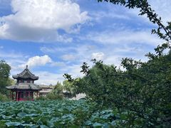 -莲池书院博物馆
