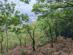 -火炉山森林公园