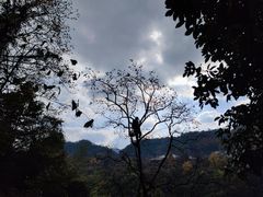 -丹山赤水风景名胜区