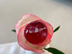 -虹御轩·传承江浙菜(虹桥店)
