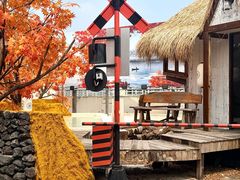 -Blue Concept Cafe&Farm·關於藍