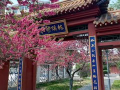 -桃花堤公园