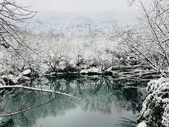 -江南天池