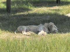 -鄂尔多斯野生动物园