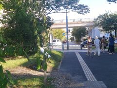 -台场海滨公园船码头