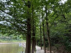 -横山寺