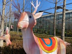 -南宫五洲植物乐园