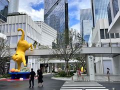 -深圳湾万象城(南山店)