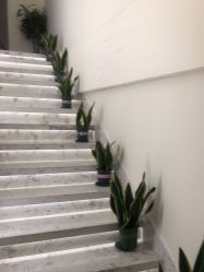 -海涛医疗美容·面部抗衰·注射美鼻