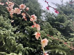 -白塘生态植物园