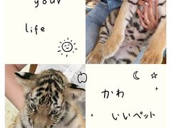 -五龙山野生动物王国