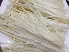 金针菇-濠轩阁特色生蚝火锅(水湾路店)