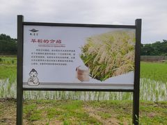 -黄牛肉馆·皖南土菜