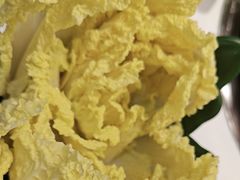 -洪氏嗨捞·猪肚鸡火锅(阳光天地店)