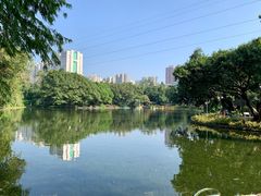 -晓港公园