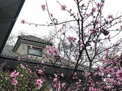 -萬國春·中菜馆(颐和公馆店)