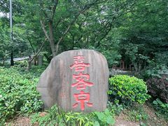 -句容茅山景区