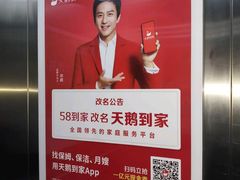 -天鹅到家·保姆月嫂育儿嫂(天河店)