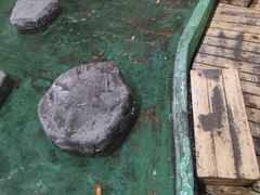 -上海大自然野生昆虫馆(东方明珠·爬宠昆虫探索中心)