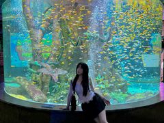 -合肥海洋世界