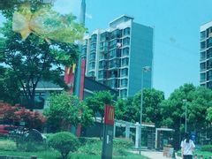 -麦当劳(友谊路得来速店)