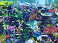 -成都浩海立方海洋公园