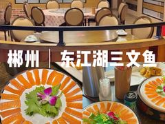 -醉美东江·三文鱼·烧鸡公