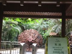-龙达温泉生态城