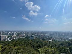 -杭州半山国家森林公园