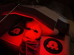 -三只熊皮肤管理中心