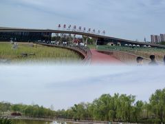 -西安浐灞国家湿地公园