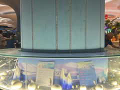 -帝企鹅自助餐厅•儿童岛•真企鹅(长隆企鹅酒店)