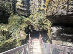 -梭布垭石林景区