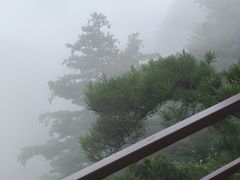 -秦岭天竺山生态文化旅游景区