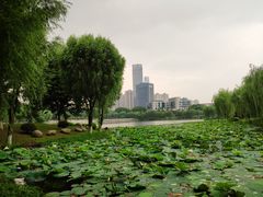 -后襄河公园