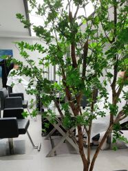 点击看大图 -付军剪艺JF ProSalon