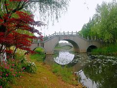 -尚贤河湿地