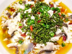 黑鱼花-三猫黑鱼花(南大店)