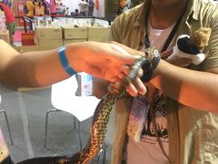 -东浩兰生上海世博展览馆