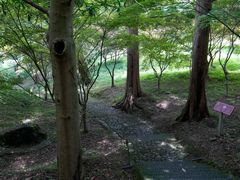 -五泄景区