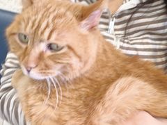 -平行世界·猫咖(首经贸店)