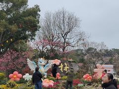-无锡梅园公园