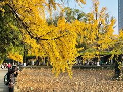 -四川大学(华西校区)